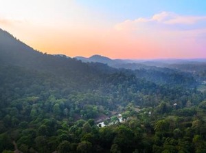 Magnolia Estates Resorts | Virarajendrapet