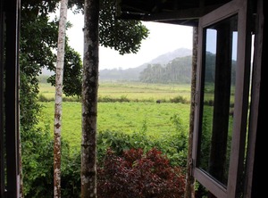 The Bliss Coorg | Virarajendrapet