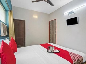 The Jumbo Stay | Bhowanipore