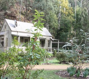 Shadybrook Alpine Cottage No Gardens The Ovens River 