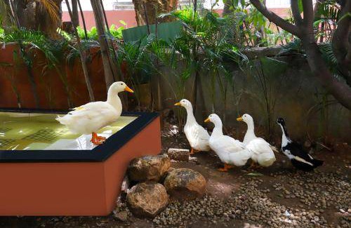 Narayanappa Garden Hotel | 195 m² Hotel ∙ 4 guests