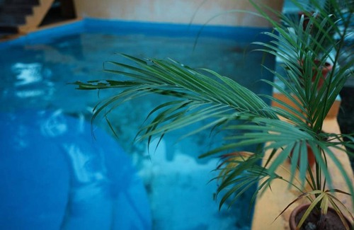 Kottakuppam Resort | 250 m² Resort ∙ 5 guests