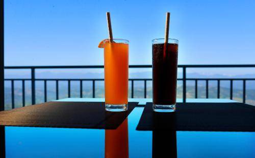 Udumbanchola Hotel | 37 m² Hotel ∙ 2 guests