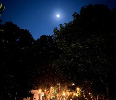 Bommayapalayam Hostel | Art Forest