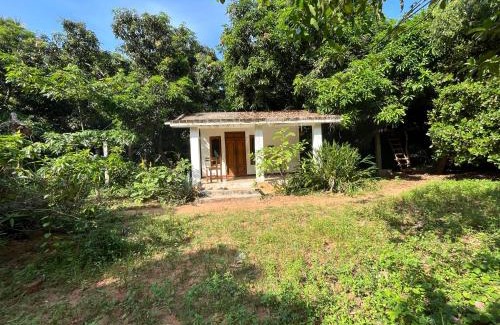Bommayapalayam Hostel | Art Forest