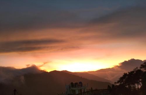 Darjeeling House | Cloudy larch homestay