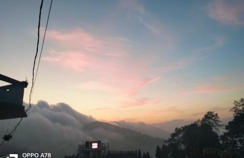 Darjeeling House | Cloudy larch homestay