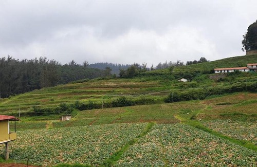 Ooty House | Farm House -ooty