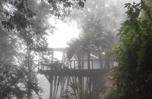 Darjeeling Hostel | Hostel ∙ 8 guests