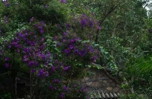 Vagamon Cottage | Mountain Villa - Stone Cottage
