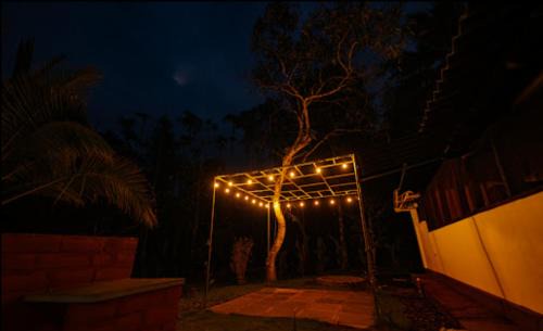 Vayittiri Hostel | Multiple Stories, Wayanad