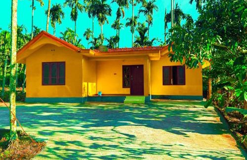 Naduvattam Resort | Palm Resort