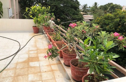 T Nagar Resort | Private room ∙ 2 guests