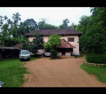 Pandikkad Resort | Private room ∙ 1 guest