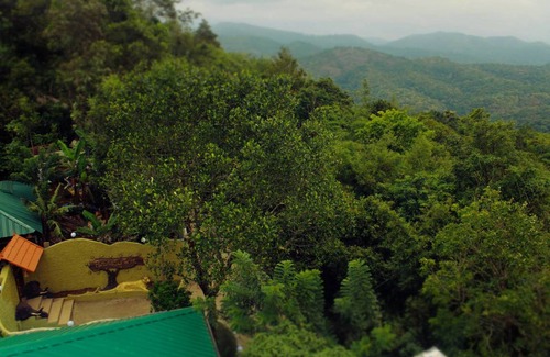 Thekkady Resort | Private room ∙ 2 guests