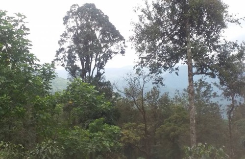 Valparai Resort | Private room ∙ 2 guests