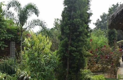 Bolpur Resort | Private room ∙ 2 guests