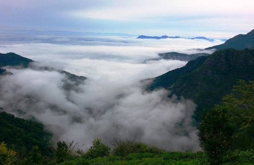 Kotagiri Resort | Private room ∙ 2 guests