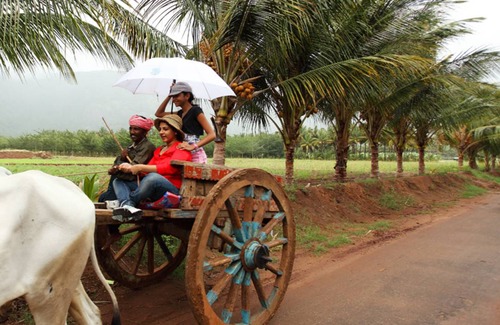 Thekkady Resort | Private room ∙ 2 guests