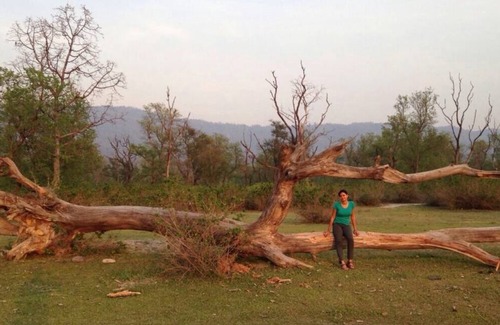 Tehri Resort | Private room ∙ 2 guests