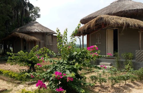 Daronda Resort | Private room ∙ 3 guests