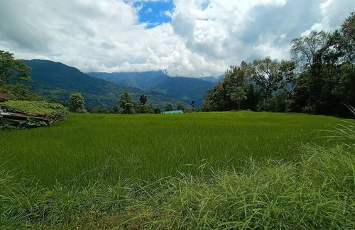 Kalimpong Resort | Private room ∙ 3 guests