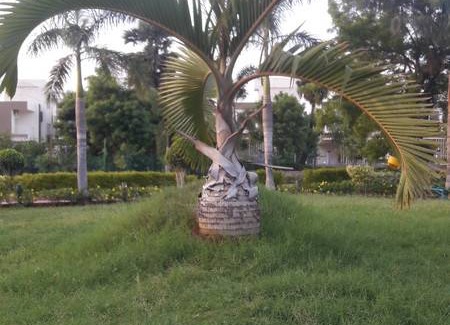 Chengalpattu Resort | Private room ∙ 2 guests