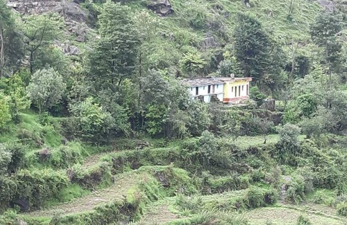 Chamoli Resort | Private room ∙ 1 guest