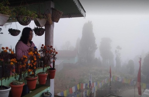 Darjeeling House | Sherpa Homestay - Darjeeling