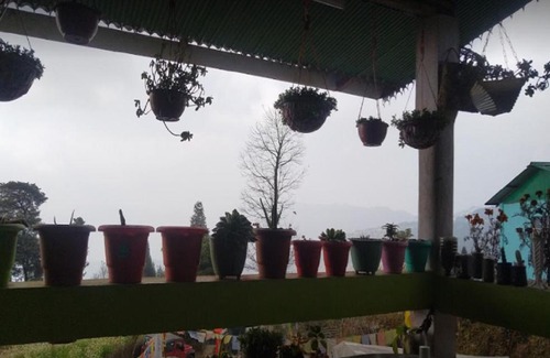 Darjeeling House | Sherpa Homestay - Darjeeling