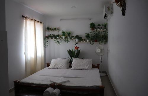 Munroe Island Bed & Breakfast | Turtle Island - Homestays