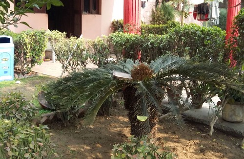 Delhi House | Vacation Farm House Enjoyable palace for Stay .it's soo sweet palce .we l nice