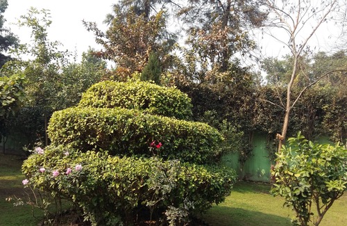 Delhi House | Vacation Farm House Enjoyable palace for Stay .it's soo sweet palce .we l nice
