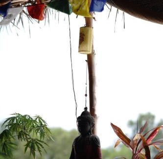 Auroville Hostel | WoodPacker Hostel Pondicherry