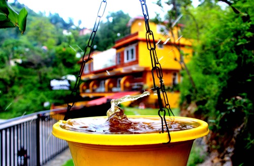 Mussoorie Villa | 04 Bedroom Apartment in Boutique 11 Bedroom Villa