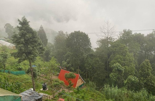 Singtam Tea Garden Apartment | 100 m² Apartment ∙ 2 guests