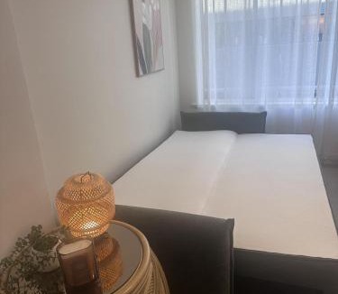 Richmond Apartment | 1bd apt next to metro, close to MCG - private parking