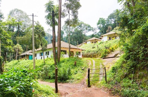 Madikeri Resort | 30 m² Private room ∙ 1 bedroom ∙ 4 guests