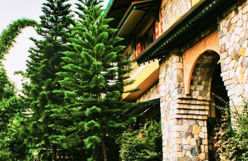 Bigha Resort | 7000 m² Resort ∙ 4 guests
