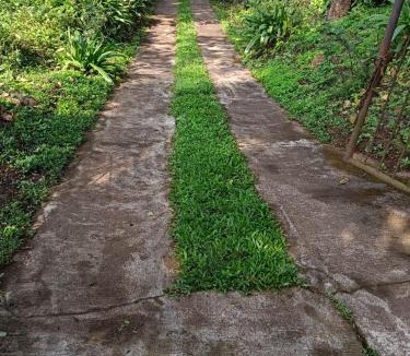 Somvarpet House | Aadhira Forest Stay