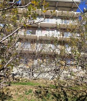 Kumharsain Bed & Breakfast | Adventure is calling