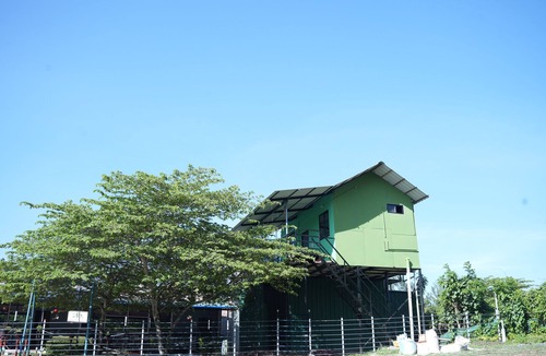 Masinagudi Other | Affordable Family homestay ,Bachelor homestay with Jungle safari In Masinagudi