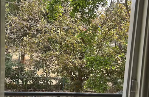 Mysore House | Akshaya - Charming 2BHK apartment with scenic view