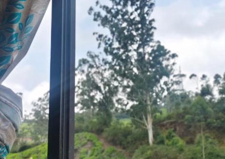 Munnar House | Alpha A cube