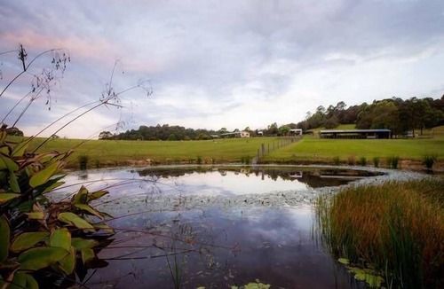 Rollands Plains Cottage | Amani Farm Bed and Breakfast