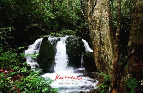Tumari Resort | Amruthavana Nature Resort Kodachadri