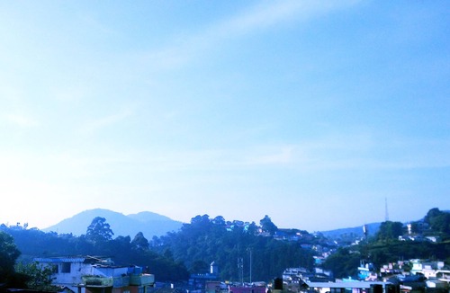 Coonoor Cabin | Anti ageing Rejuvenation Centre