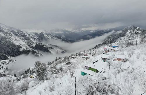 Theog House | Ashirwad Homestay near Kufri