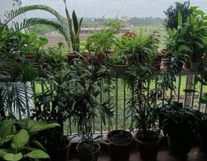 Indore House | Ashiyana