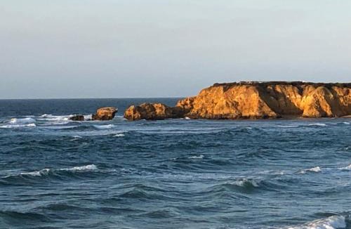 Torquay Bed & Breakfast | At the Gallery